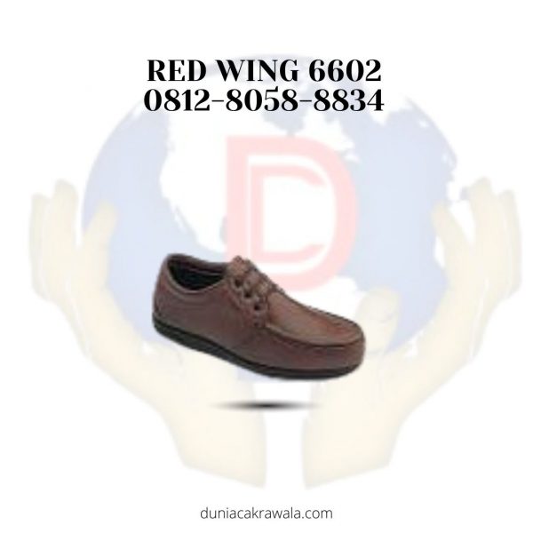 RED WING 6602