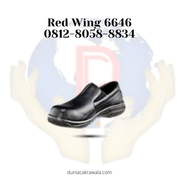 Red Wing 6646