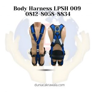 Body Harness LPSH 009