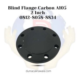 Blind Flange Carbon A105 2 Inch