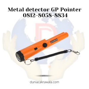 Metal detector GP Pointer