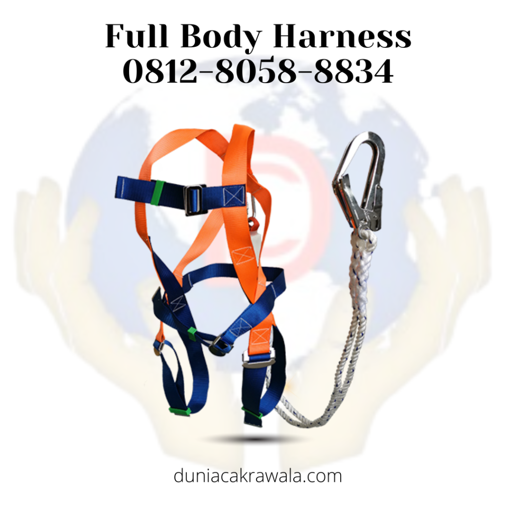 Full Body Harness
