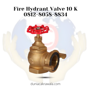 Fire Hydrant Valve 10 K 2.5 Inch