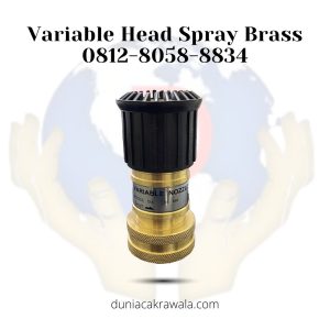 Variable Head Spray Brass (1)